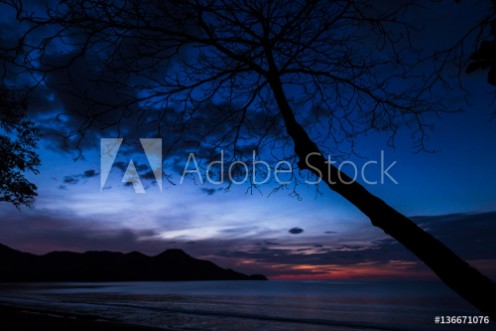 Picture of Twilight over Playa Matapalo